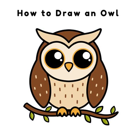 directed drawing owl|realistic owl drawings.